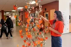 Orange shirt day