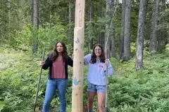 Forest Walk